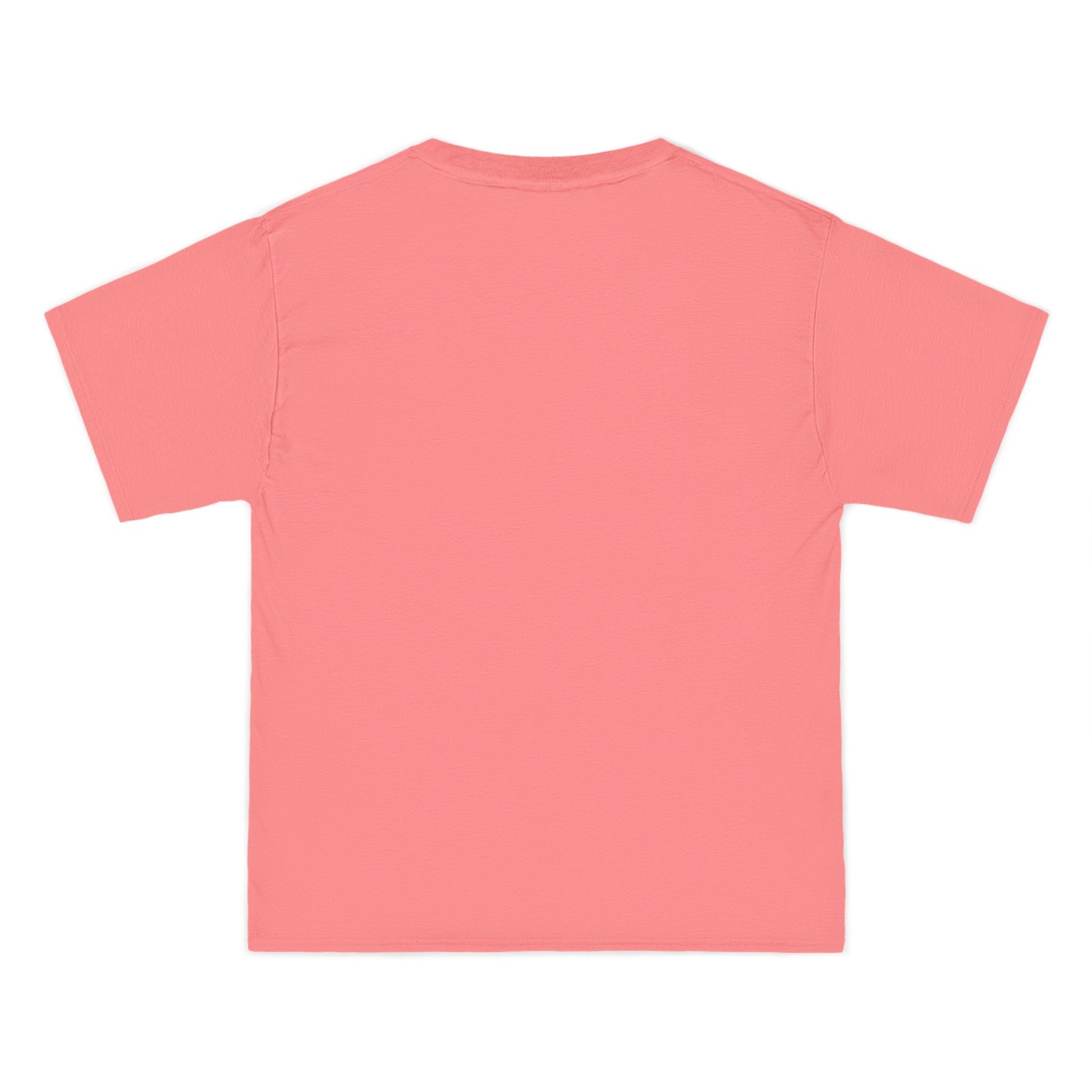 Colorful Kingfisher Graphic T-Shirt for Nature Lovers